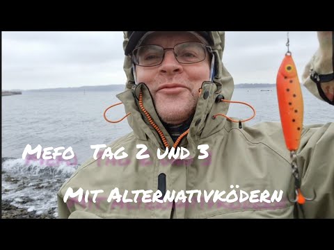 Mefo-Angeln im Februar 2023 - eine Herausforderung