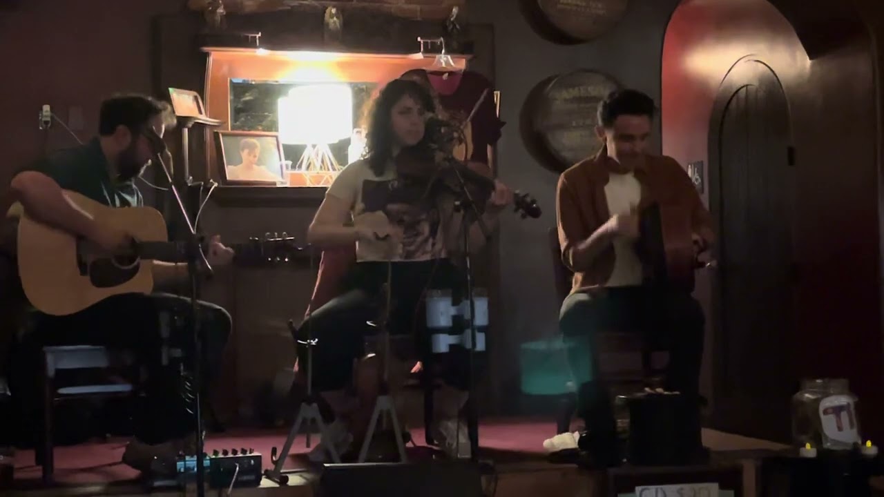Promotional video thumbnail 3 for Stepwise Celtic Band