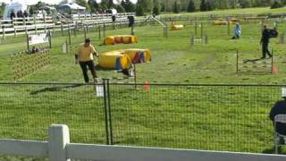 Sasha's Blend Sponsored - Steeplechase Finals!