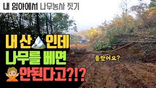 내 산 