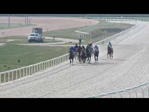 2019.04.07. 05. futam - ÓDALMANDI HENDIKEP (III.o.) (szintetikus pálya)