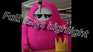 【Fall Guys】害悪highlight