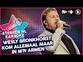 Wesly Bronkhorst - Kom allemaal maar in m'n armen // Sterren NL Karaoke