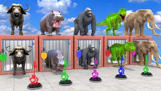 Download lagu Long Slide Game With Cow Elephant Gorilla Hippopotamus Tiger - 3d Animal Game - Funny 3d Animals mp3 Download lagu Long Slide Game With Cow Elephant Gorilla Hippopotamus Tiger - 3d Animal Game - Funny 3d Animals mp3