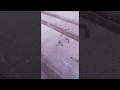 Footprints in frost from nowhere?