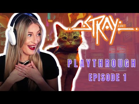 I Just Wanted to Nap With My Cat Friends | Stray | First Playthrough