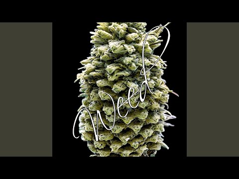 Weed