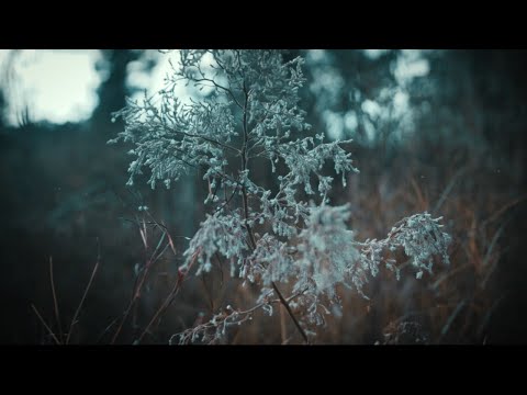 Seven30 - Now (Official Music Video)