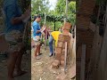 Melhor Pedreiro Do Mundo Rei Da Trena