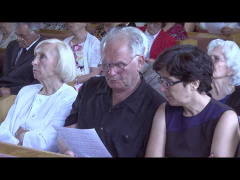 2016-06-11 "Blagoslov posredovanja" - Dragan Stojanović