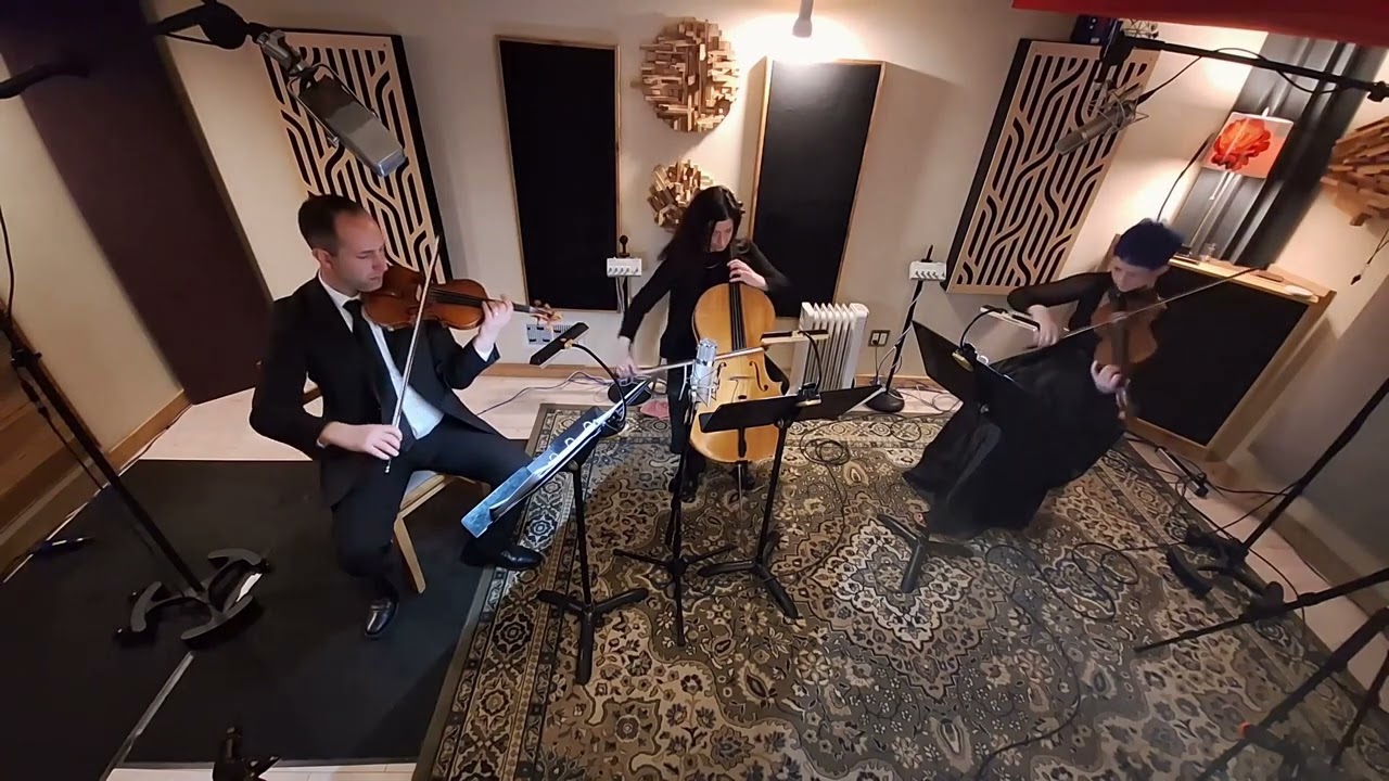 Promotional video thumbnail 3 for Sonorous Strings