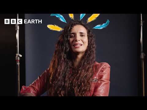 Neanderthals: Classic Myths Debunked! | Human | BBC Earth Science