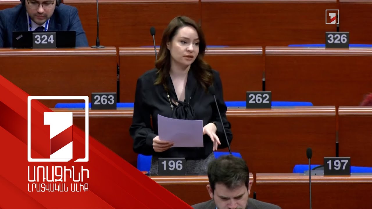 Մտահոգիչ է, որ աշխարհում ուժի կիրառումը դառնում է նորմալ. Սոնա Ղազարյանը՝ ԵԽԽՎ-ում