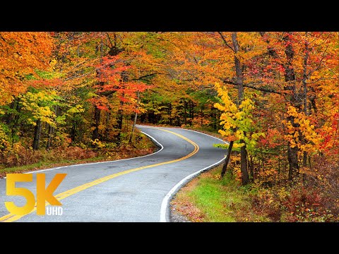 3,5 HRS Scenic Autumn Drive through Colorful Forests - 5K Discovering NY State from a Car Window