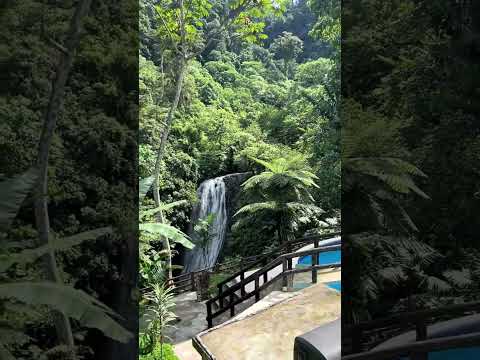 📍El velo del Colibrí. San Rafael Pie de la Cuesta San Marcos. #viajes #lugaresparavisitar
