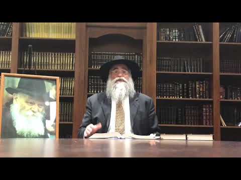 Rabbi Minkowicz Weekly Torah Lesson Parsha Shelach  5779