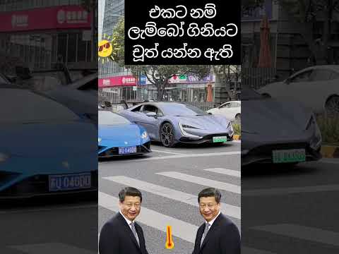 lambogini VS Byd U9 #automobile #supercar