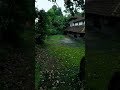 My Heaven ️ Old House Nostalgic Feel Whatsapp Status Malayalam
