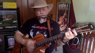 2448 -  I Hear Them All  -- Old Crow Medicine Show cover   Vocals  - Acoustic guitar &amp; chords