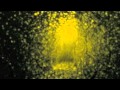 THE ANTLERS - French Exit