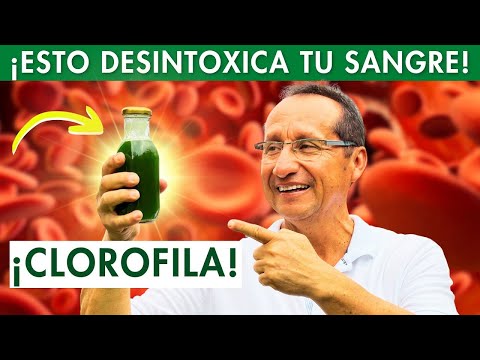 ¿La Clorofila Es la Solución para DESINTOXICAR Tu Cuerpo en 30 Días?