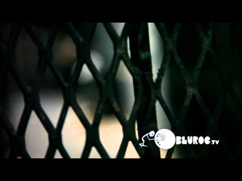 LEP Bogus Boys - "My Oldest Friend (Remix)"  Music Video