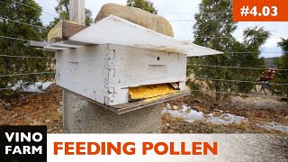 A Pollen Feeder Instead of Patties