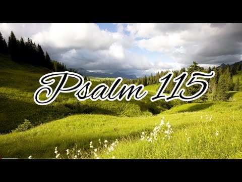 Psalm 115 - NLT Audiovisual