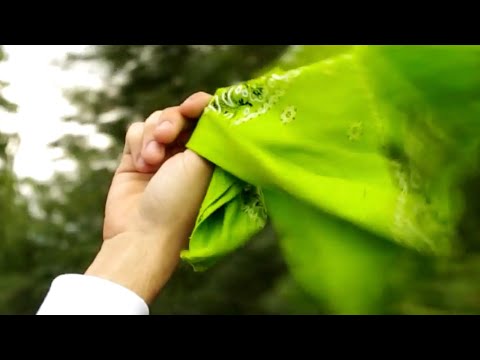 Vicevibe OG and 992MUSIC