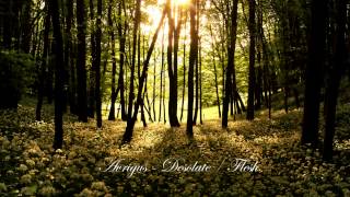 Avrigus - Desolate / Flesh