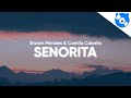 Shawn Mendes, Camila Cabello - Señorita (Clean - Lyrics)