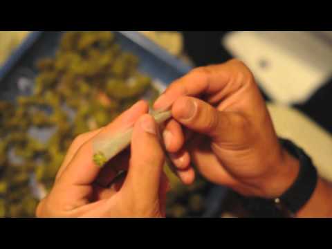 Yung Brody-Where's Da Bud (Music Video)