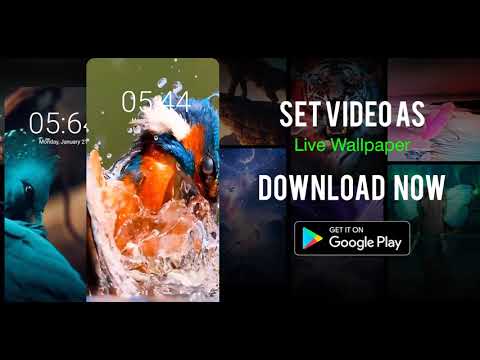 Video Live Wallpapers Maker
