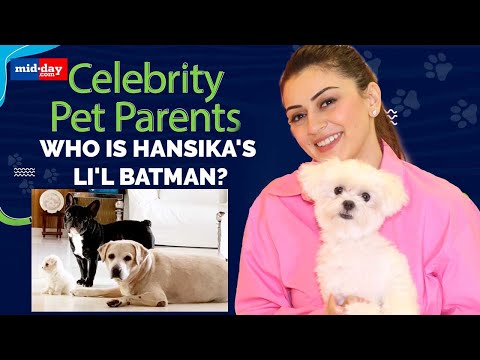 Meet Hansika Motwani's terrific trio | Celebrity Pet Parents Ft. Hansika Motwani