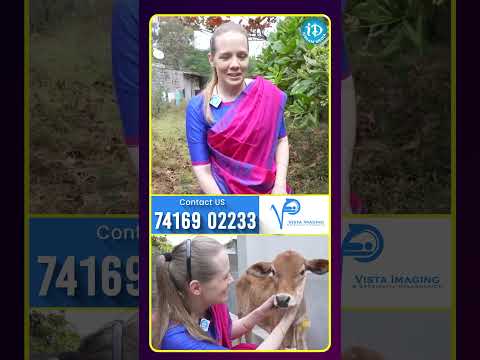 మా పాప ఈ ఆవుదూడకి పద్మిని అని పేరు పెట్టింది.. #idreammedia