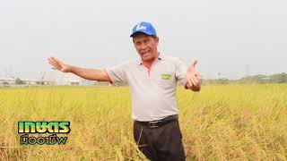 ทำนารูปแบบใหม่ปลอดภัยต่อสุขภาพและสิ่งแวดล้อม