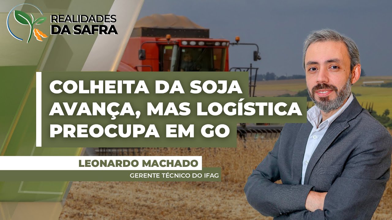 Colheita da soja avança forte em Goiás, abre bom espaço ao plantio do milho safrinha...