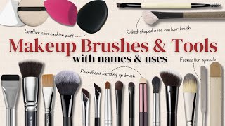 Makeup Brushes Guide for Beginners & Professional Artists (W