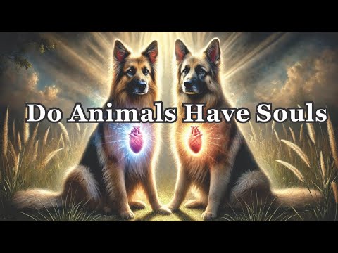 Do Animals Have Souls? | Billy Graham Explains the Difference Between Humans and Animals