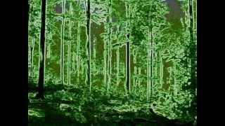 Datsik-Complete Control (Original Mix)