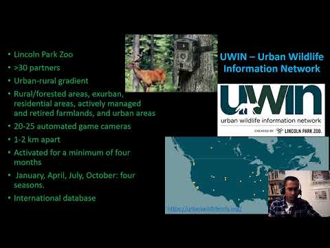 <p>Urban wildlife research</p>