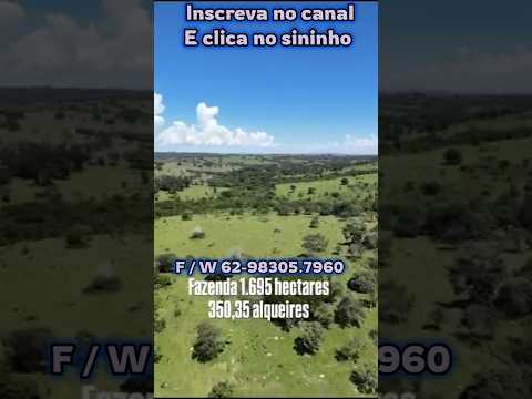 Fazenda com 350 Alqueires em Santa Rita do Araguaia #brasil #fazenda #mercadoagricola #agro #gado