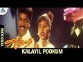 Kadhale Nimmadhi Tamil Movie Songs Kalayil Pookum Video Song Suriya Jeevitha Deva
