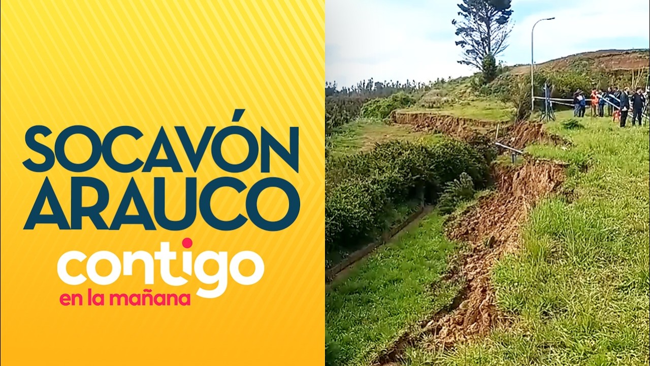 Socavón de más de 500 metro amenaza a familias de Arauco - Contigo en la Mañana