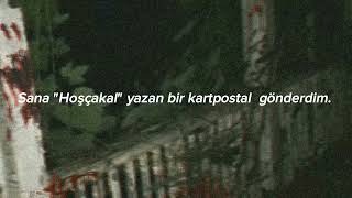 Lifelover - M/s Salmonella (Türkce Çeviri)