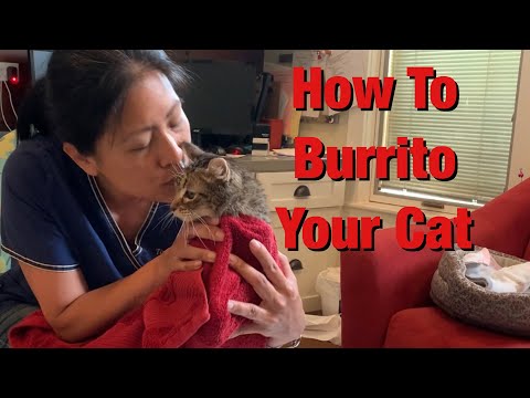 7. How To Burrito Your Cat
