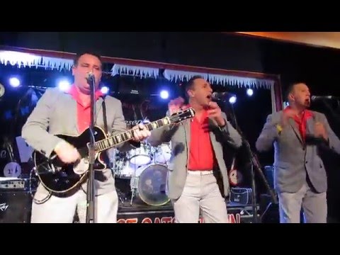 The Roomates, 'Come go with me', Wildest Cats in Town, Nov 2015