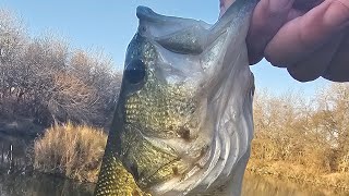 Bass Fishing my private Pond