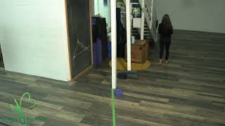 Level 1 - 9am w/ ANDRIA 5.31.24 YOGA BETTER ON LINE! (class starts @ 00:04:16; ends @ 01:03:34)