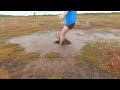 Quick Bog Jump At New Swamp